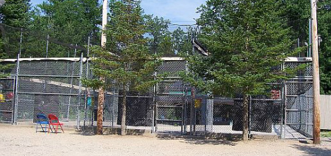 Front View of Batting Cages